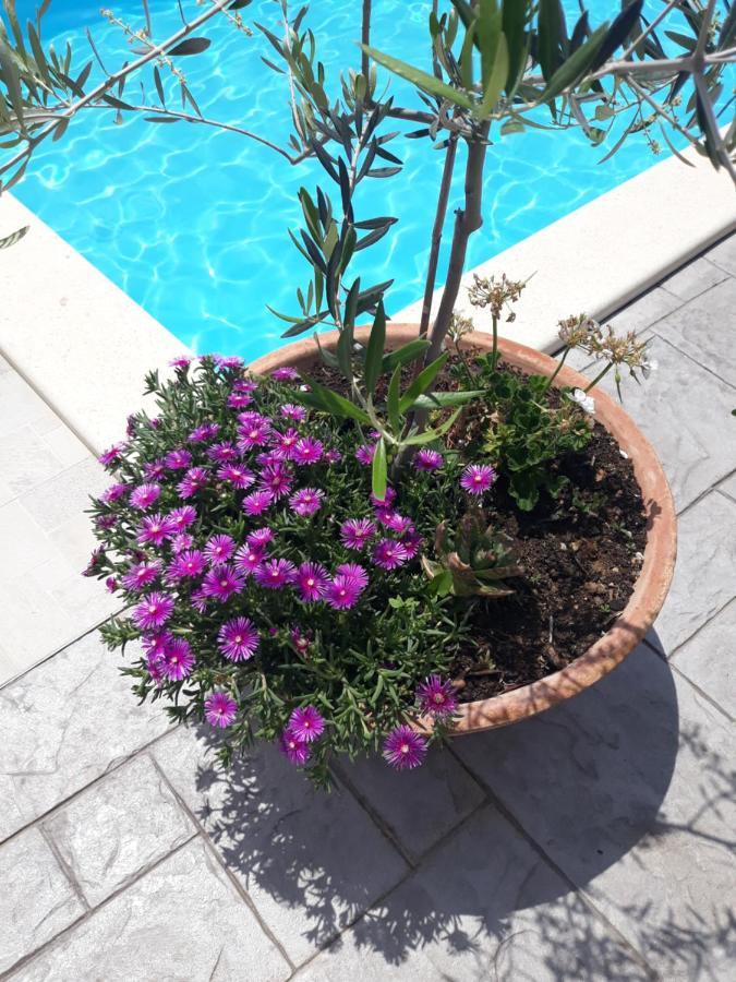 Holiday Home Bepo سيفيد المظهر الخارجي الصورة