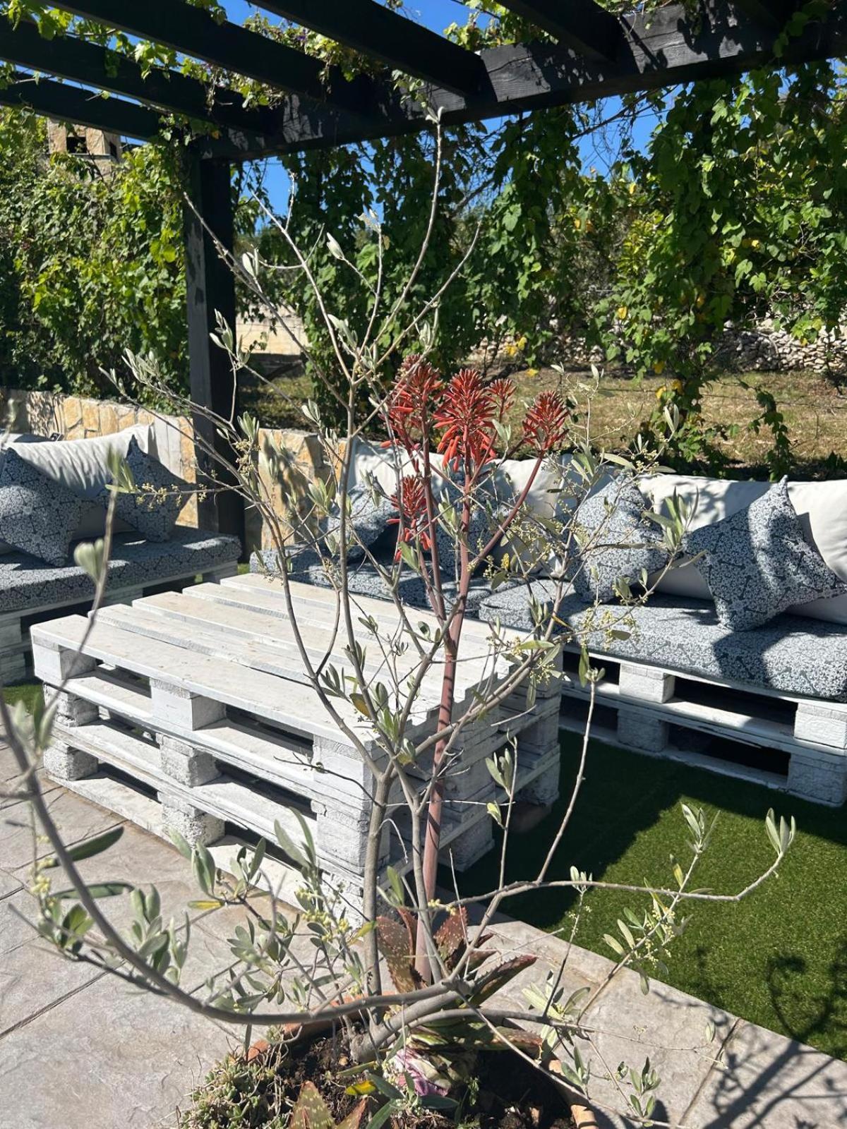 Holiday Home Bepo سيفيد المظهر الخارجي الصورة